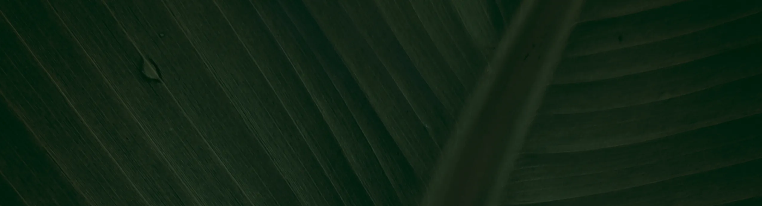 Gas Sampling Filter ZLQ-QTCY01